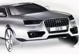 Audi Q3 #3
