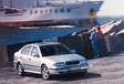 Skoda et Volkswagen associés depuis 20 ans #6