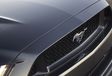 50 jaar Ford Mustang in Autoworld #1