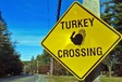 Les 7 voitures « turkey » récentes détestées des Américains #1