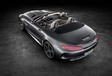 Mercedes-AMG GT Roadster : Officielle ! #3