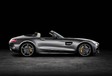Mercedes-AMG GT Roadster : Officielle ! #7