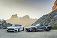 Mercedes-AMG GT Roadster et GTC Roadster : officielles ! #1