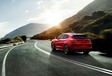 Alfa Romeo Stelvio gelekt #4