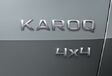 VIDEO - Skoda Yeti-opvolger heet Karoq #6