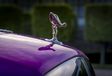 Rolls-Royce Dawn Fuxia : rose de collection #5