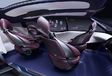 Toyota Fine-Comfort Ride: zeszitter op waterstof #5