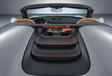 Porsche 911 Speedster: kers op de taart #5