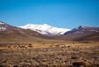 Mini Panamericana – Jour 3 – Beauté aride de la Patagonie #14