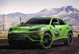 Lamborghini: Aventador en Urus volgens racedivisie #10