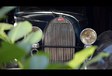 3 Bugatti sorties d’une grange en Belgique #8