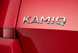 Škoda Kamiq: voor Europa #1