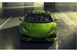 Lamborghini Huracán EVO Spyder: volle zon #10