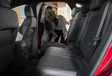Ford Go Further 2019 : la nouvelle Ford Kuga en tant que MHEV, HEV et PHEV #4