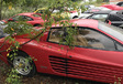 INSOLITE – 11 Ferrari abandonnées sur un terrain vague #5