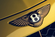 Bentley Bacalar : opération de carrossier sur la base de la Continental GTC #20