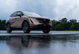 Nissan Ariya : le modèle électrique de l'espoir #3
