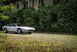 La Lamborghini Urraco célèbre son cinquantenaire #9
