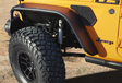 Easter Jeep Safari 2021  levert alweer leuke off-roaders op #21