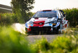 Thierry Neuville remporte le rallye d’Ypres  #7