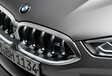 BMW serie 8 renouvelée - pas de calandre XXL #12