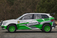 2022 Škoda Afriq Concept 
