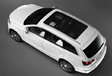Audi Q7 V12 TDI Quattro #6