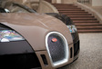 Bugatti Veyron Hermès #1