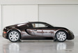 Bugatti Veyron Hermès #11