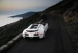 Bugatti Veyron Grand Sport   #12