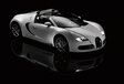 Bugatti Veyron Grand Sport   #20