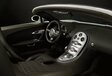 Bugatti Veyron Grand Sport   #21