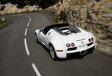 Bugatti Veyron Grand Sport   #9