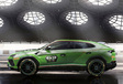 Lamborghini Urus, des versions Evo et Performante en préparation #5
