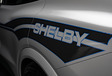 Shelby s'occupe de la Ford Mustang Mach-e #3