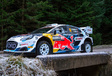 WRC 2024 - Ford Puma Rally1 Hybrid