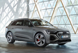 Audi Q8 e-tron - Audi Forest Belgium