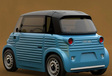 2025 Citroën Caselani Type Ami