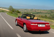 Alfa Romeo Spider / Duetto - 60 years