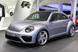 Volkswagen Beetle R #5