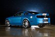 Ford Mustang Shelby GT500 Cobra #2