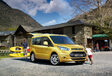 Ford Tourneo Connect #1