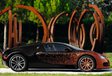 Bugatti Veyron Grand Sport Bernar Venet #8