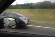 Opel Insignia gespot in België #3