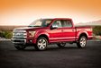 Ford F-150 #5