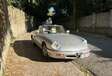 Alfa Romeo Spider