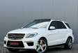 Mercedes-Benz M-Klasse