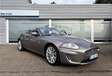 Jaguar XK