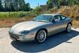 Jaguar XK