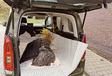 2025 Toyota ProAce City Verso